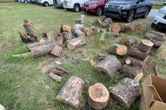 NEOWTA_081721_03