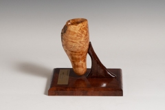 2021-WToftheY-Award-side