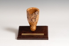 2021-WToftheY-Award