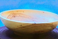 NEOWTA_041922_48