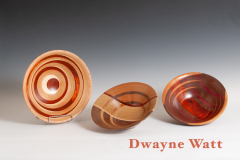 04_watt_dwayne2
