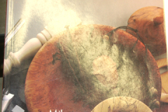 2023_08_15_NEOWTA_41