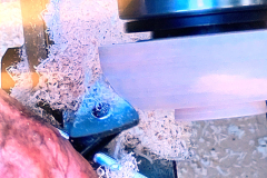 2023_08_15_NEOWTA_80