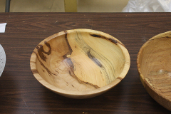 2024_0416_NEOWTA_158