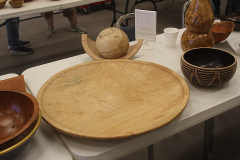 2024_0416_NEOWTA_172