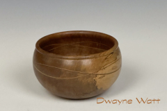 03_DwayneWatt_071724