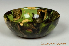04_DwayneWatt_071724