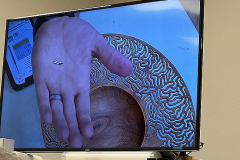 2025_07_15_NEOWTA_119