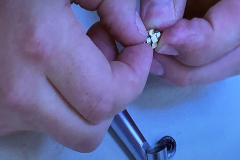 2025_07_15_NEOWTA_120